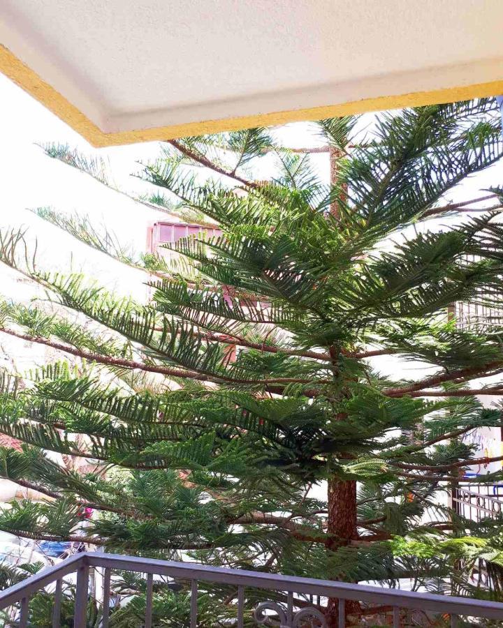 Venera Apartments Budva Luaran gambar